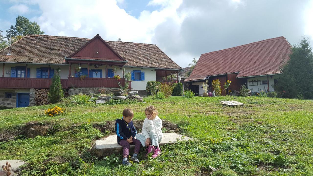 Siklód. Csaba vendégház  Extérieur photo